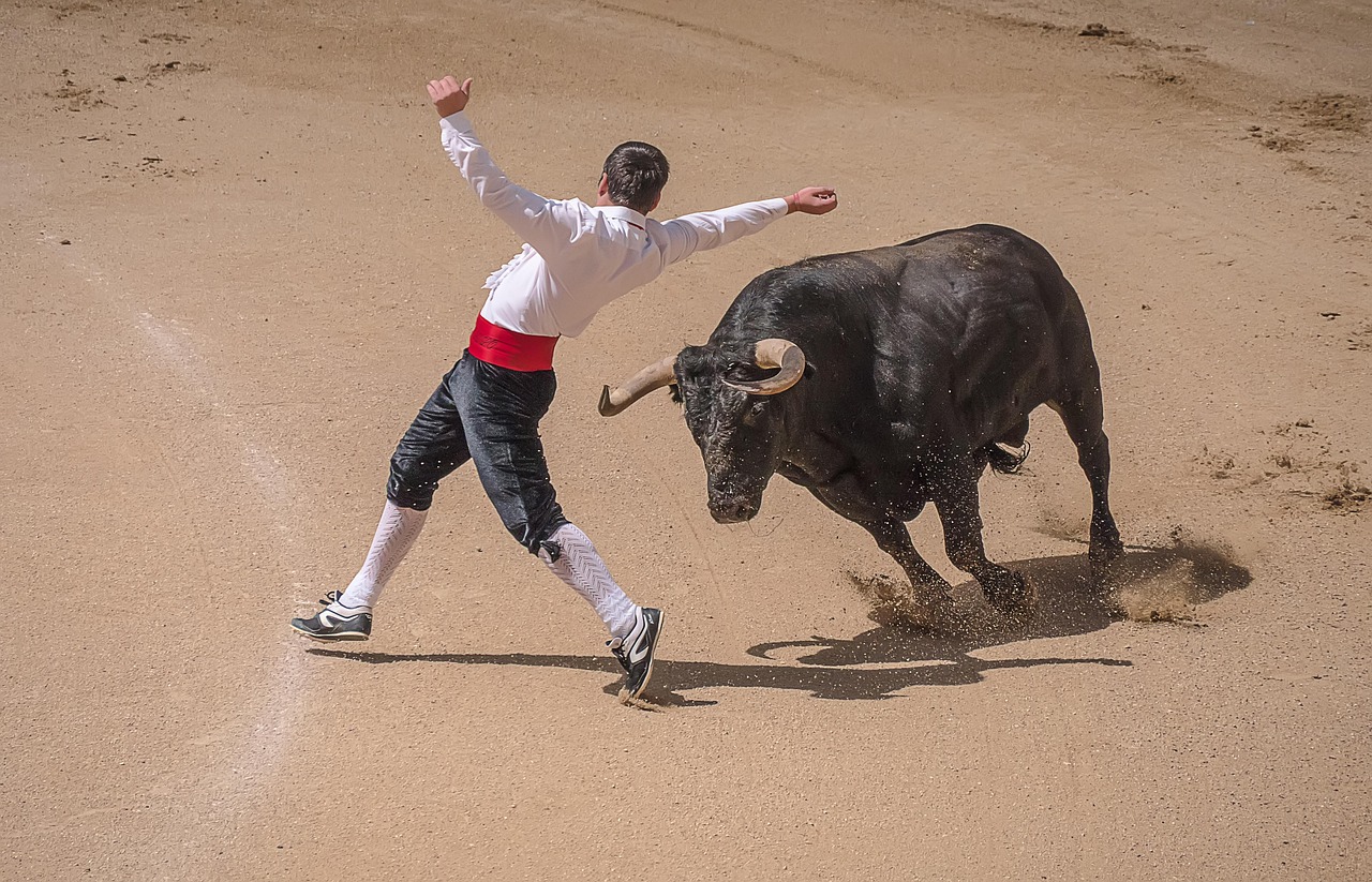 trimmers, torero, bullfighters, sales, madrid, bulls, spain, square, arena, matador, bull riding, people, plaza toros, banderillero, jose tomas, spain brand, sand, risk, value, cutout, dangerous, threat, sport, jump, torero, torero, matador, matador, matador, matador, matador, bull riding